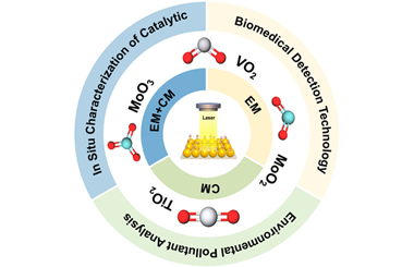 TMO-based SERS: Dual enhancement mechanisms and multi-functional analytical applications 2025.100797